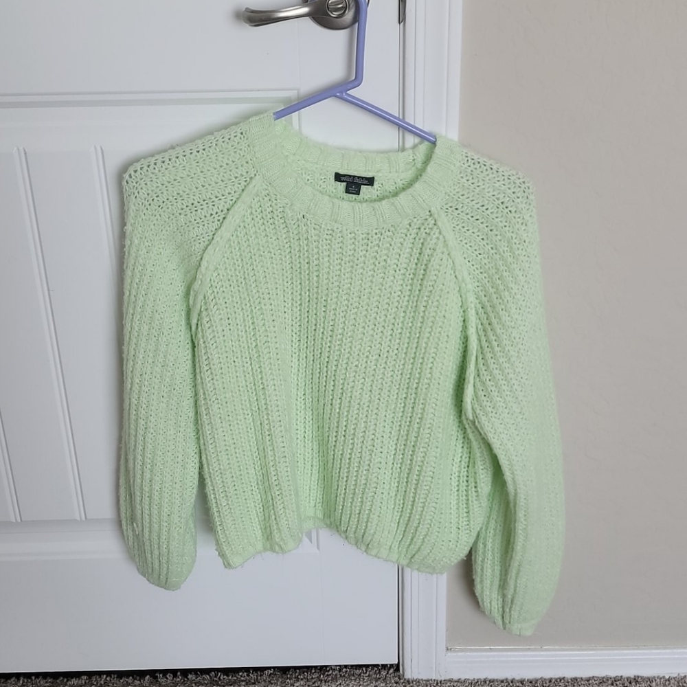 Light Green Wild Fable Sweater